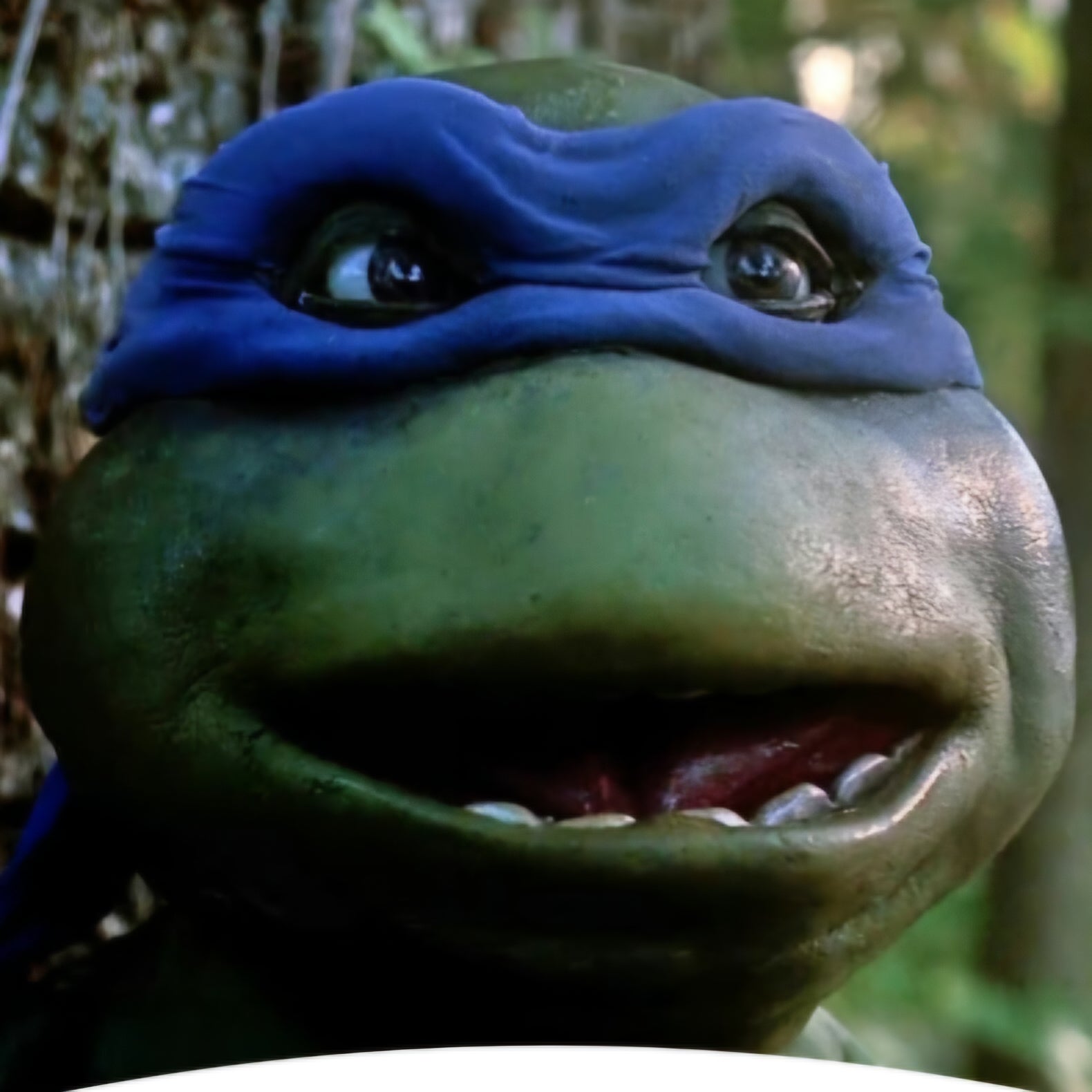 Brian Tochi Autograph